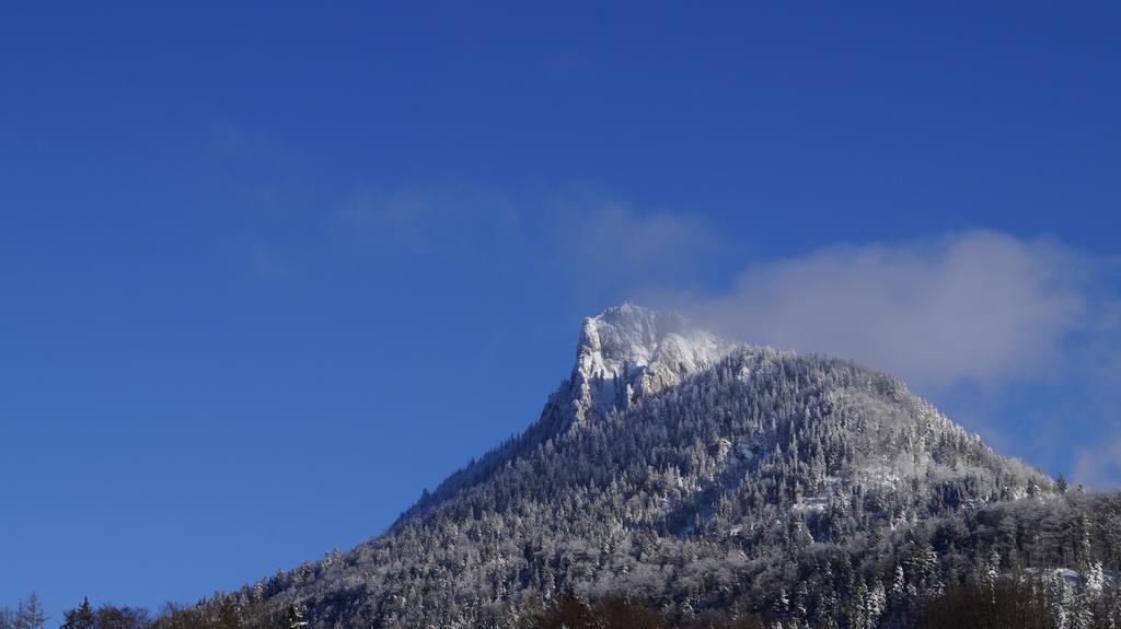 Pension Tannhof ฟุชเชิล อัม ซี ภายนอก รูปภาพ