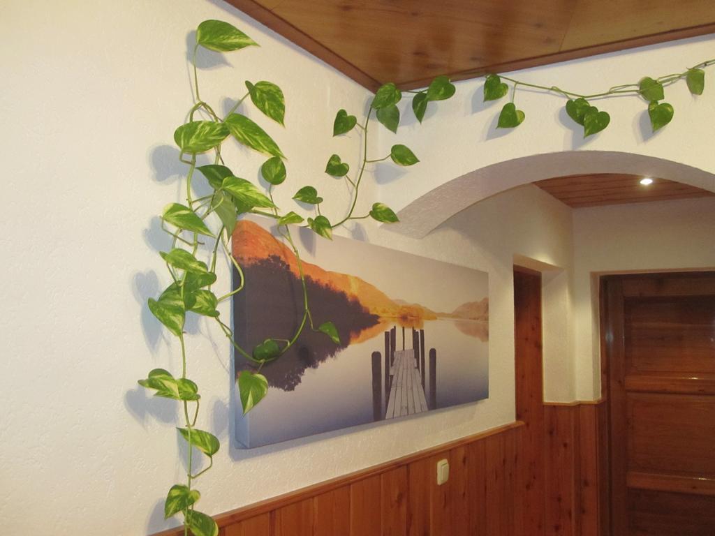 Pension Tannhof ฟุชเชิล อัม ซี ภายนอก รูปภาพ